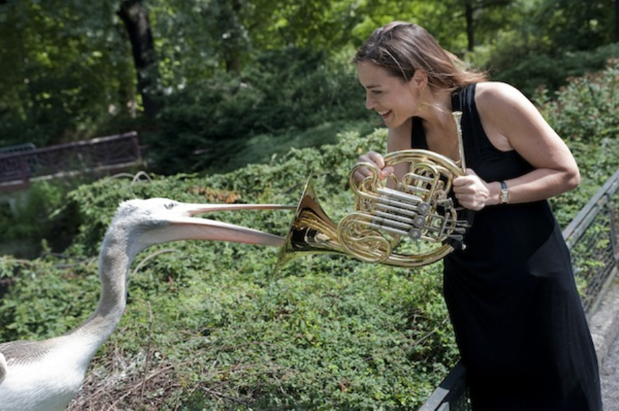 做核磁共振半道跑出来的多吗,做核磁共振途中为什么要推针水