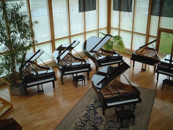 博兰斯勒钢琴性价比,德国博兰斯勒钢琴特点