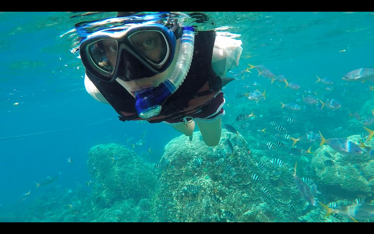 帕劳旅行攻略大全图文,帕劳旅行攻略图文大全