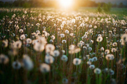 英语电影台词经典语录,英语经典电影台词