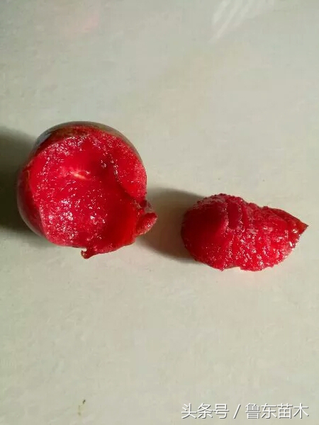 红心李子黄心李子,红心李子几月熟