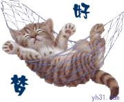 兰州亲们！红提摘完了我们相约去摘果桑可好？据说这里的果桑熟了