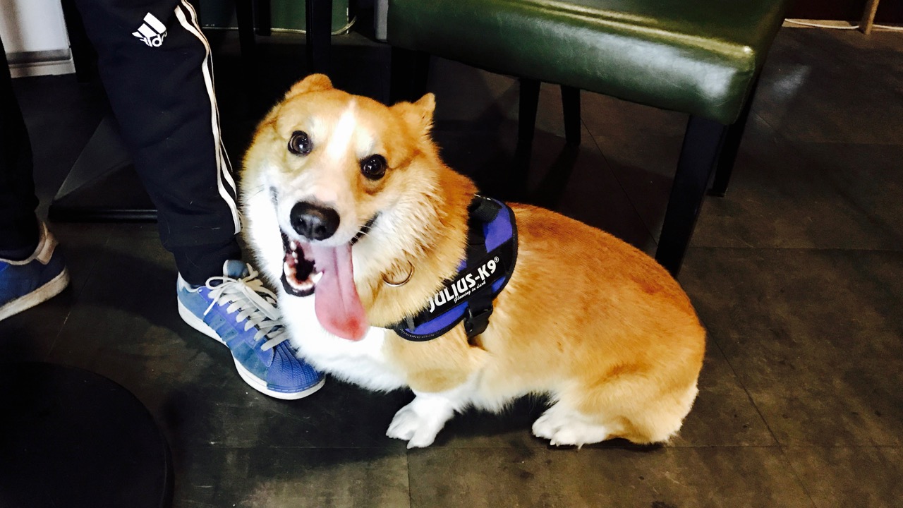 短腿男神蹭吃蹭喝欢乐多，“贱”装出席女票的生日派对