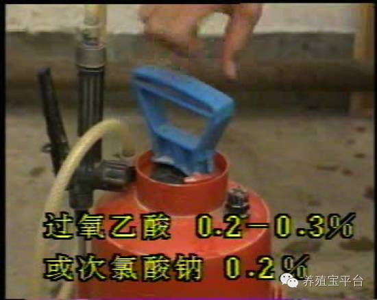 爱佳集团杨经理,杨文斌的养殖场