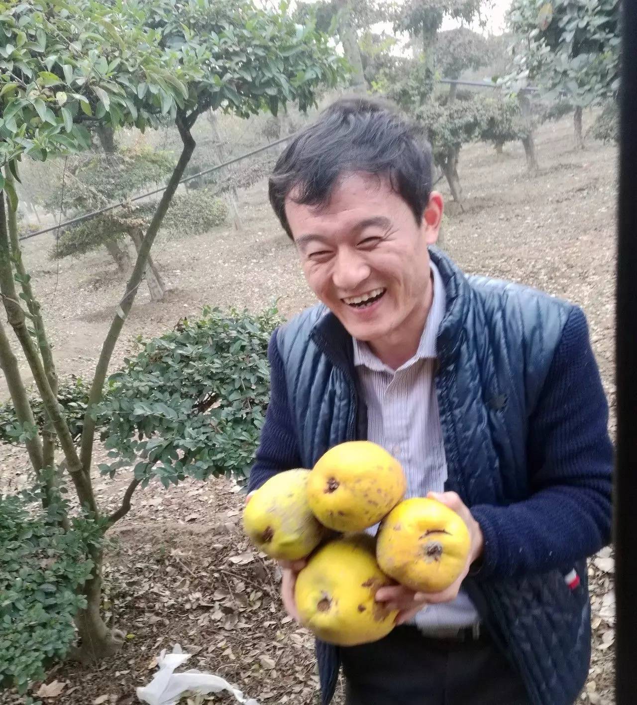 苗木那些事,山东苗木现状分析