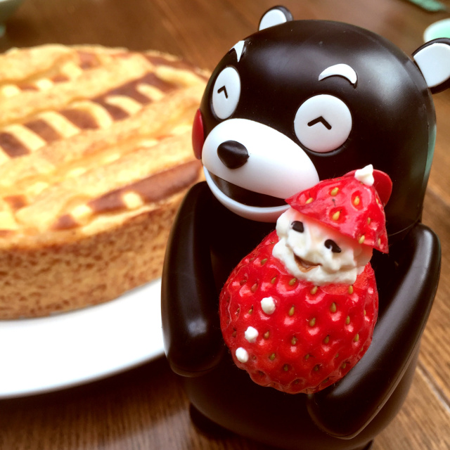 快赞本宝宝，熊本部长为你做苹果派啦！