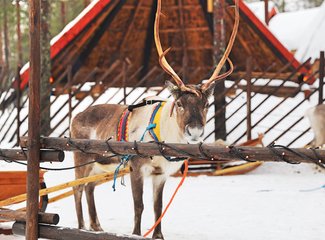 北欧挪威之旅合集,冬季北欧四国游