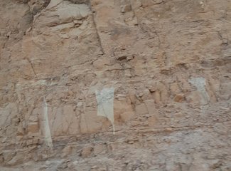 二进埃及，红海我怎能不爱你