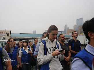 带着24个月小囡十一寸又峡寻密+东京+镰仓伊豆+横渡骏河湾观富士山+附详细交通攻略