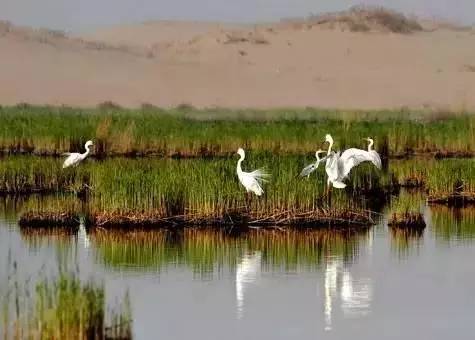 福州52件大事,福州最值得做的52件事