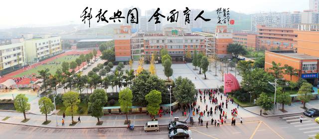 重庆茶园小学排行榜,重庆主城小学排名划片