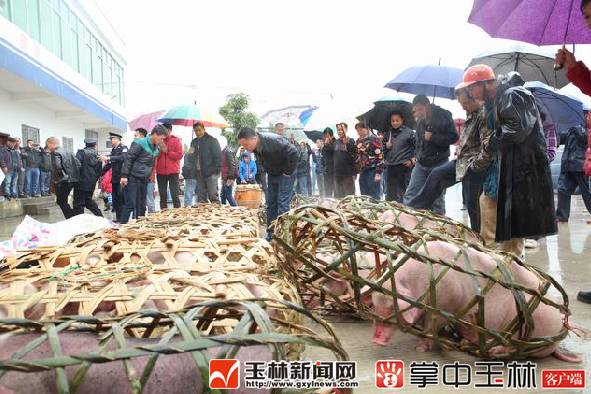 「新闻下午茶」公示了！玉林要重点保护这9样东西，看看有你们家的吗？