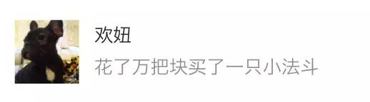 瀹夊埄骞村害鐩涗細,瀹夊埄澶т細鍗曞搧绾㈣壊