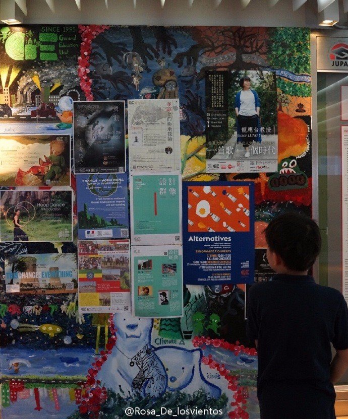 边吃边走的美食推荐,香港5日美食之旅搜罗各种美食