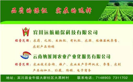 宾川县骗子案,云南宾川警方查获最新诈骗案件