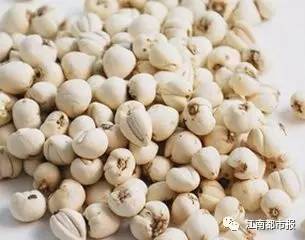 儿童严重咳嗽止咳最快的一招秘方,孩子咳嗽止咳最快的一招秘方