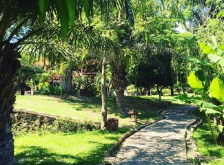 越南胡志明大叻美奈游,越南之南胡志明芽庄五日游