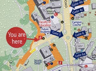 新西兰南岛顺时针逆时针,新西兰四个人游玩大概多少钱