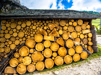 另一个平行世界的你小说,另一个平行世界电视剧