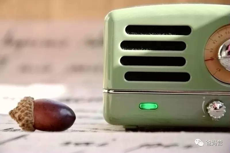 猫王小王子音响复古精致有情调,猫王小王子胡桃木音响测评