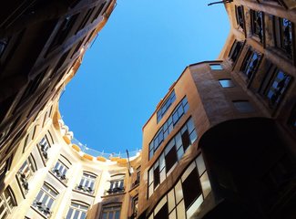 法兰西板鸭,板鸭西班牙语