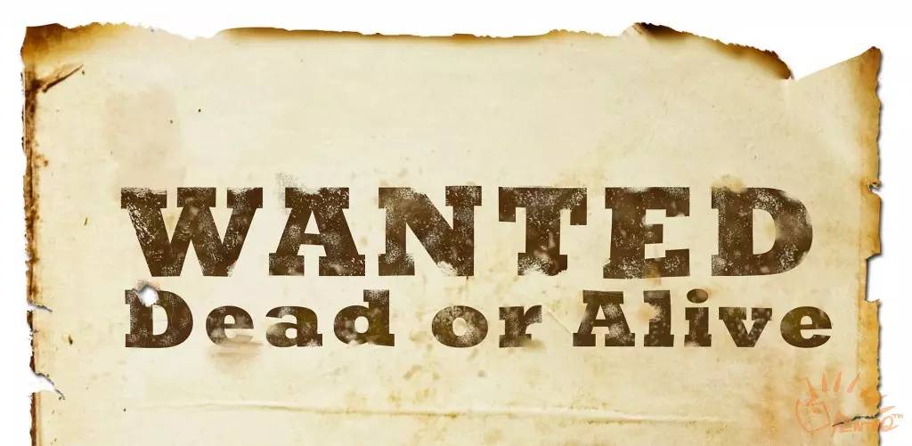 最新皮城女警凯特琳出装顺序详细,皮城女警凯特琳哪个皮肤手感好