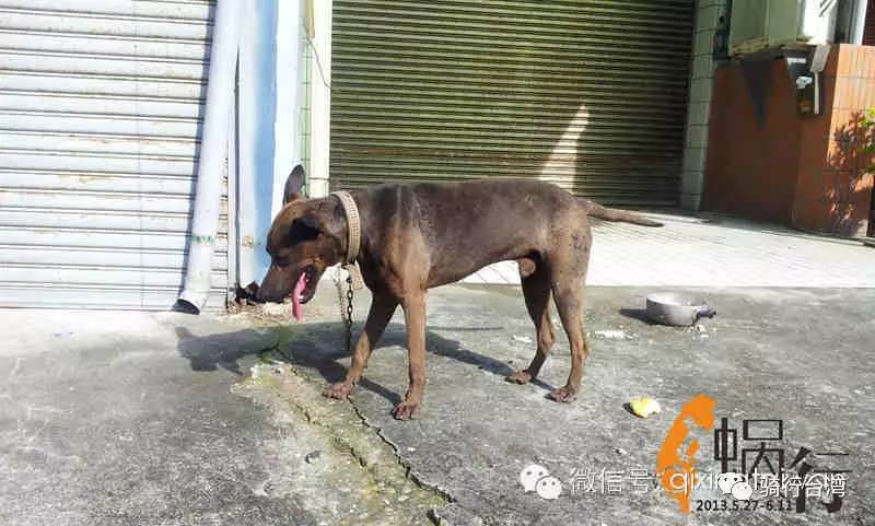 瓜哥的旅行视频,骑行瓜哥