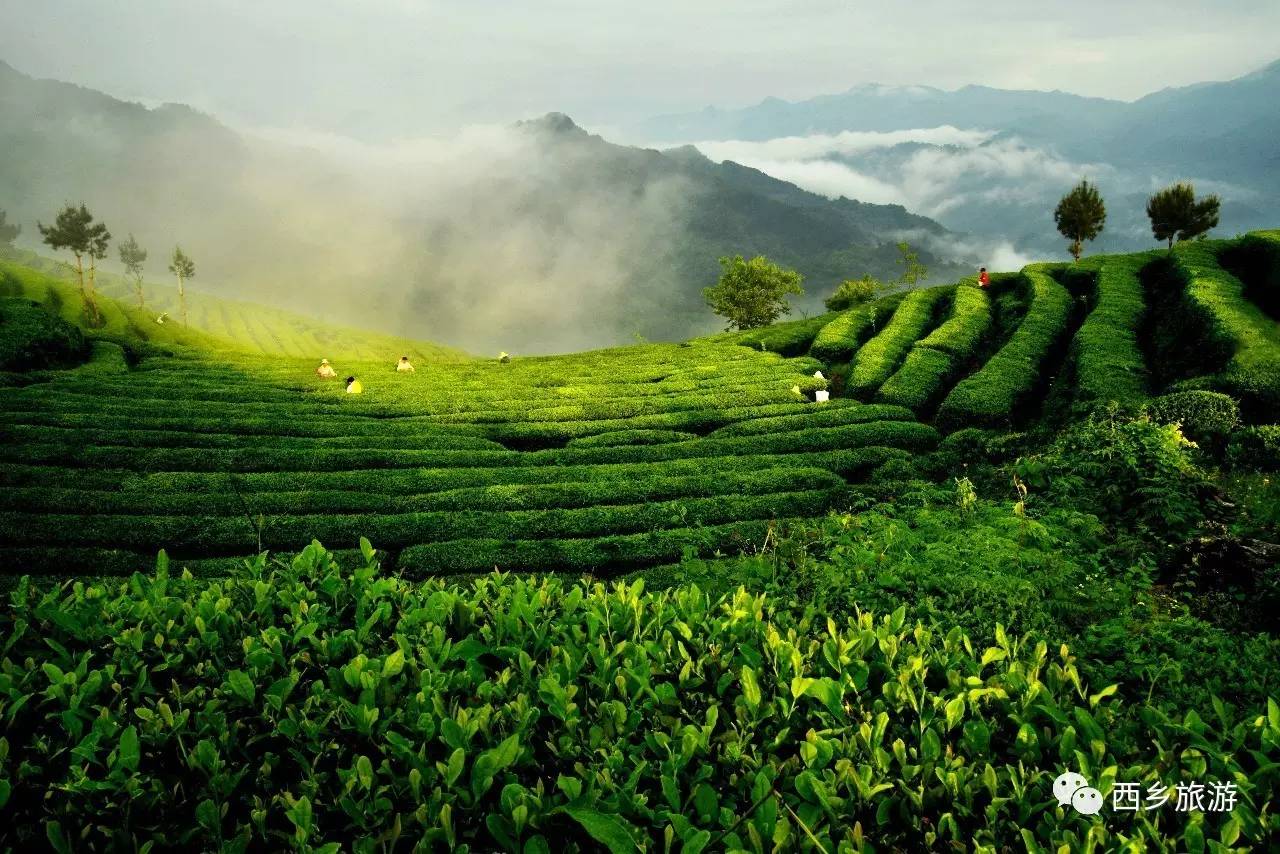 中国美劳动美主题摄影,劳动最美摄影大赛作品护士