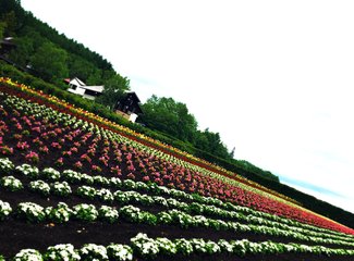 人在美途民族风旅拍,人在美途