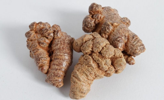 常见病最新疗法,常见病简易中医疗法