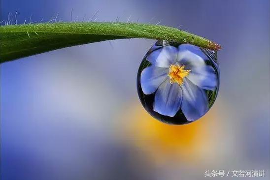 10句话认识自己改变自己,认识自己10句话