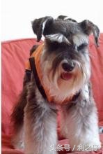 鼻炎真菌感染一般是什么真菌,真菌性鼻炎是鼻癌吗