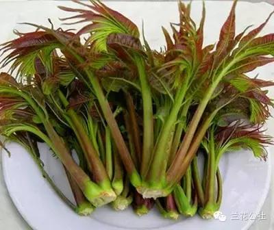 对女性好的五类食物,这四种食物女人一定要吃