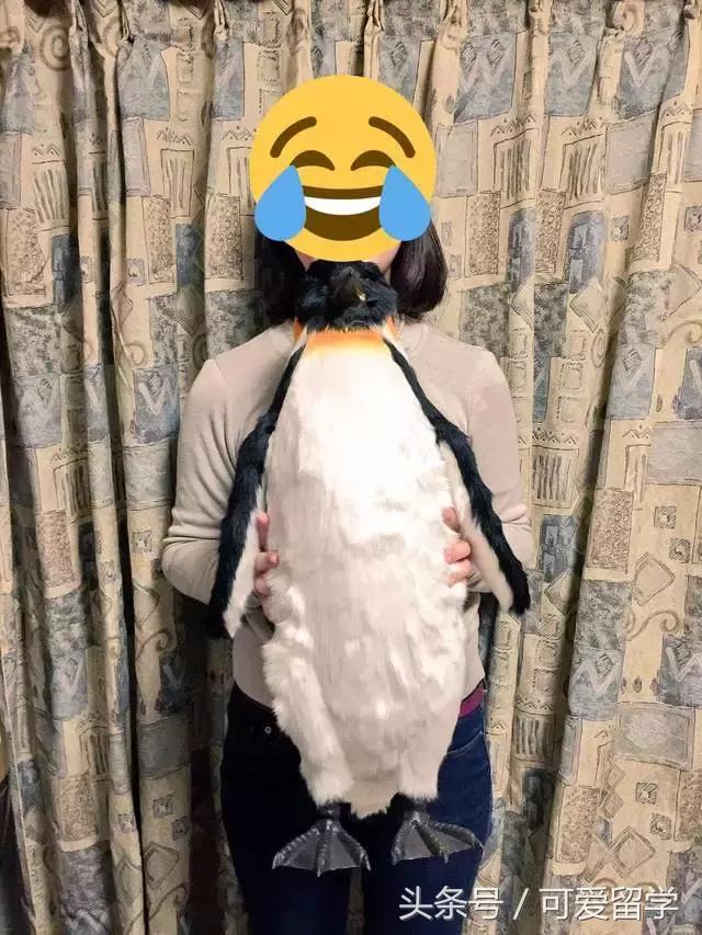 日本福袋都是大坑！盘点日本新年福袋里奇怪物品