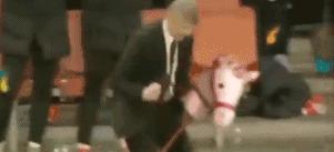 足球特效大片视频,足球进球gif特效图片