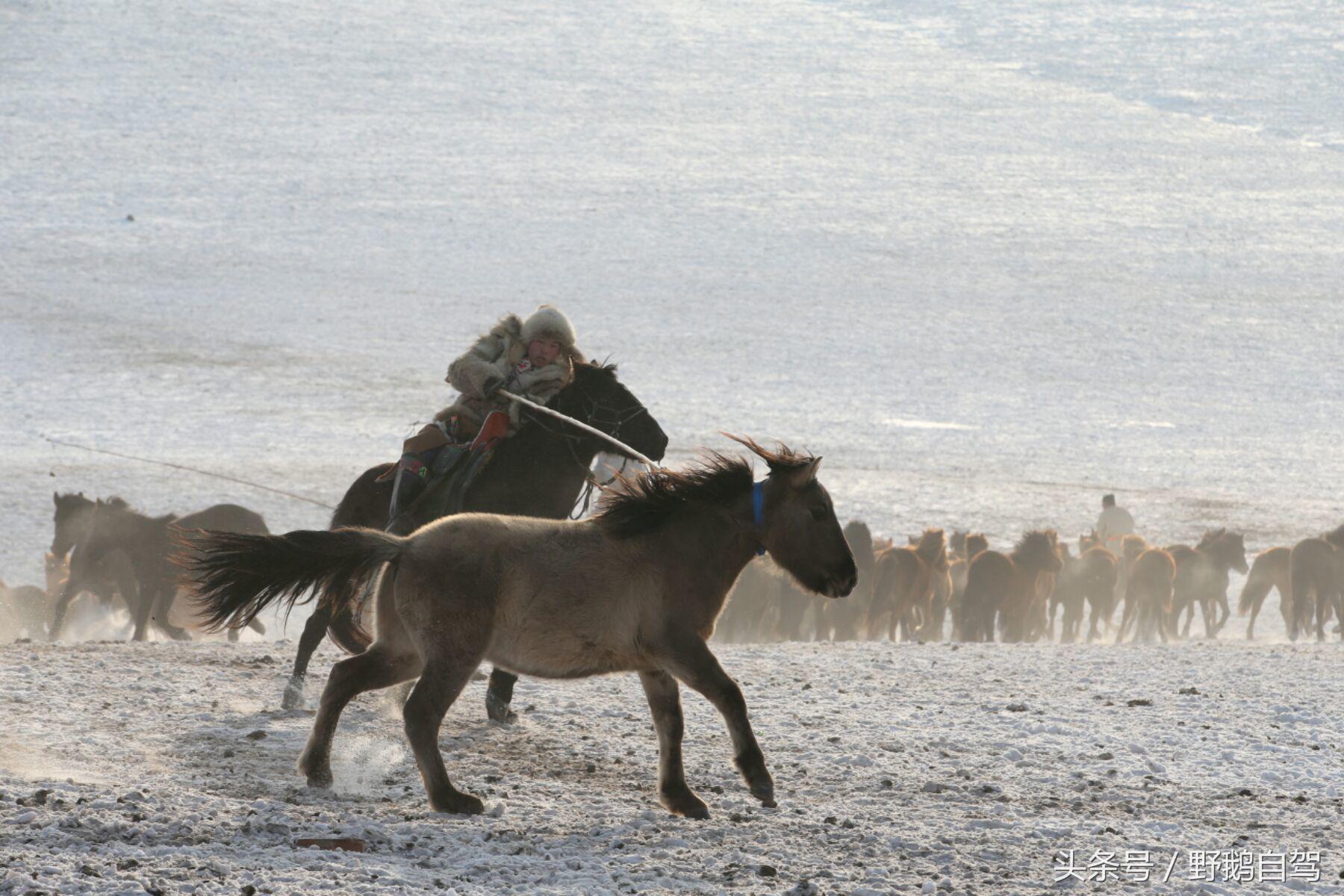 锡林郭勒盟那达慕自驾攻略,锡林郭勒冰雪那达慕完整版