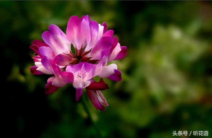 不知道给宝宝取什么名字好,不知道给小孩子取什么名字怎么取