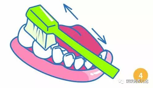 盘点李*荣大**的牙刷军团！其实吧，牙刷并不是重点，怎么刷才是！