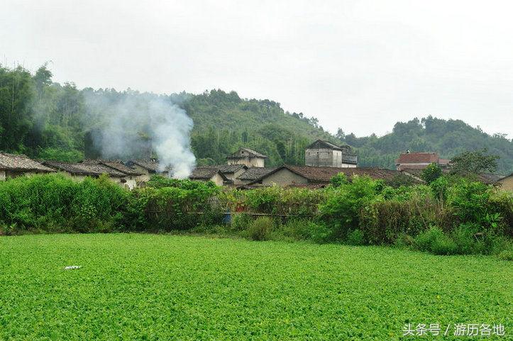 广东元旦从化旅游景点推荐,广州从化元旦三天两晚游玩攻略