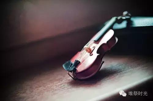 年轮,年轮汪苏泷