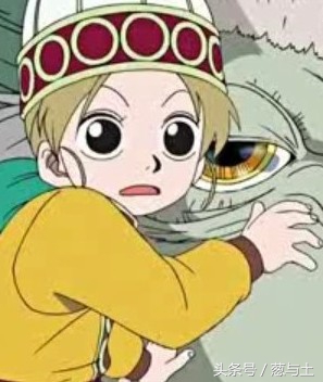 海贼王最不好用的果实能力,海贼王那些最漂亮的恶魔果实