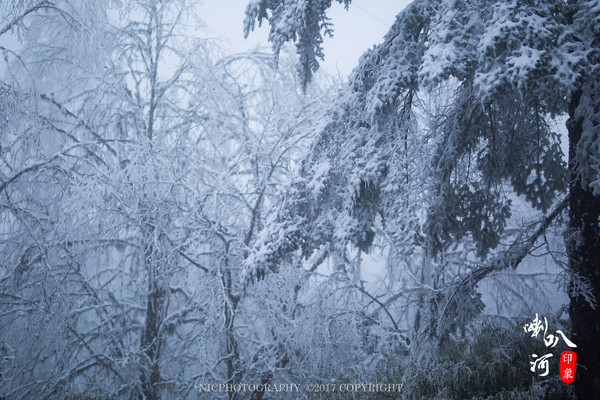 「成都躲霾攻略」喇叭河的圣诞奇缘