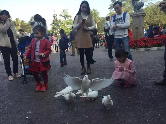 广东冬天看雪的最佳旅游地,广东周边冬天看雪最适合去哪旅游