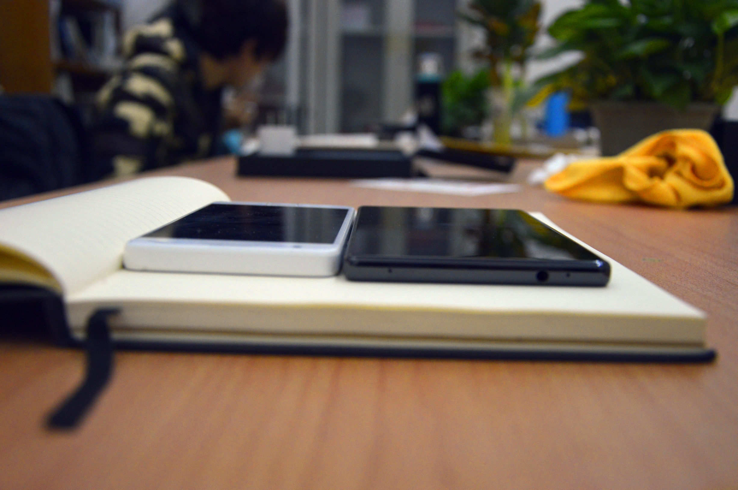 taster手机是什么意思,taster最新版