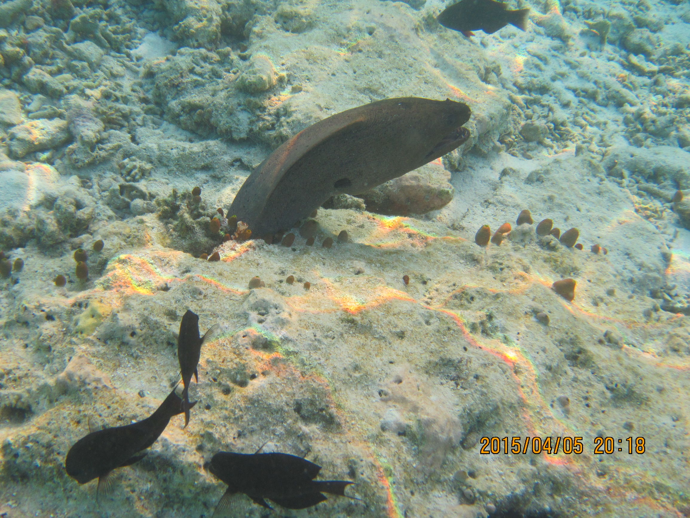 马尔代夫最美景色,最美马尔代夫风景