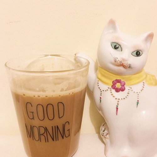 速溶咖啡推荐非黑咖啡,咖啡控黑咖啡推荐哪种