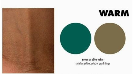 大地色盘子,十二种最值得入手的盘子