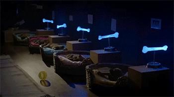 俄罗斯男子酒吧打架,俄罗斯酒吧斗殴