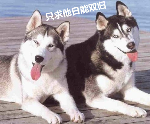 一人我饮酒醉女生唱出来的,一人我饮酒醉歌词来历详细解析