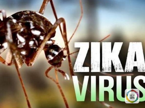 孕妇蚊虫叮咬用什么药安全,蚊虫叮咬孕妇注意事项